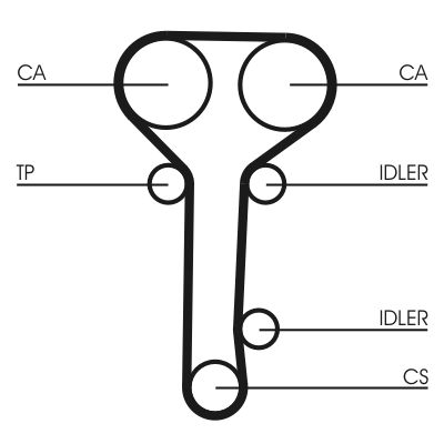 Timing Belt-2