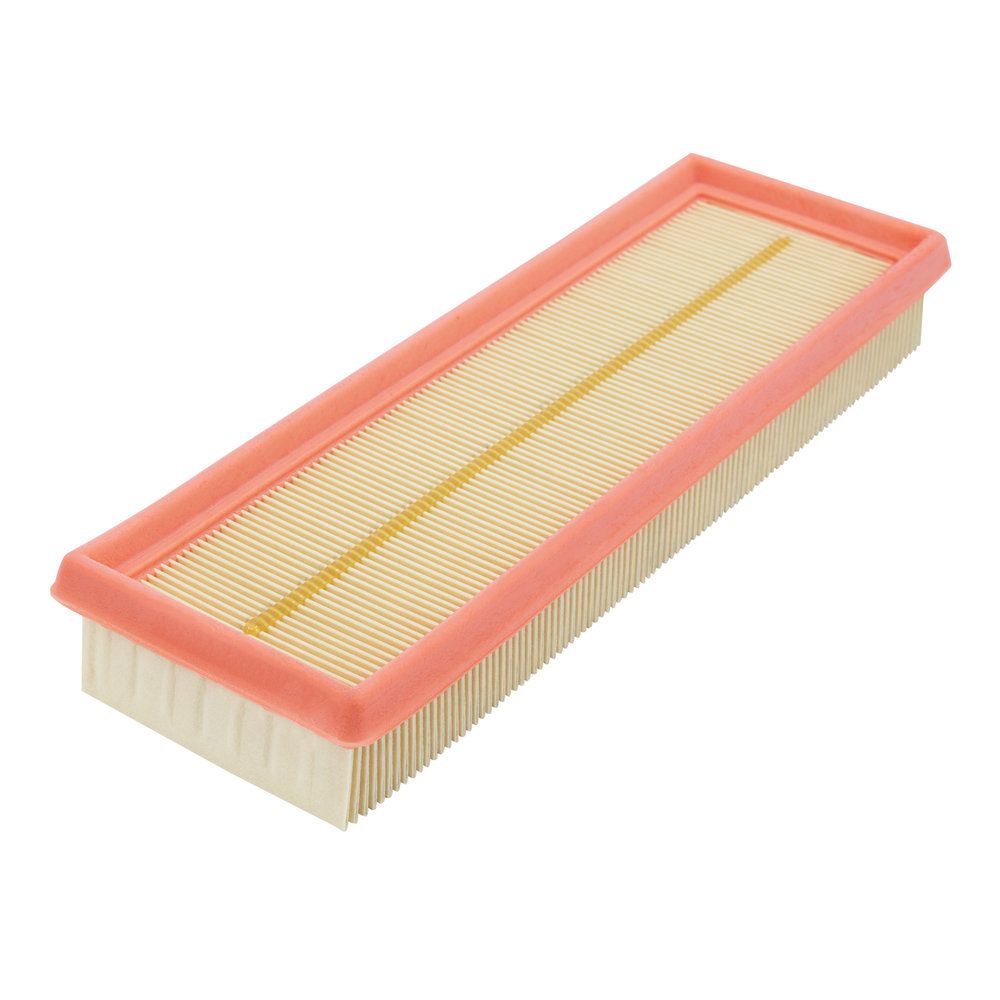 FILTRON AP 134/2 Air filter