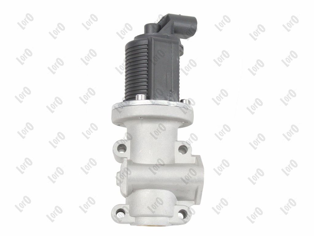 EGR Valve-4