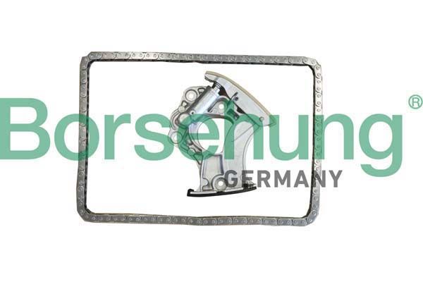 BORSEHUNG B10245 Timing chain kit