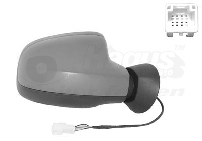 VAN WEZEL 1516818 Exterior mirror