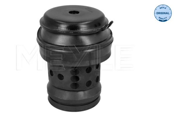 MEYLE 100 199 0036 Mounting, engine