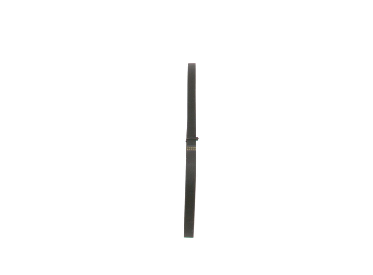 V-ribbed Belt-1