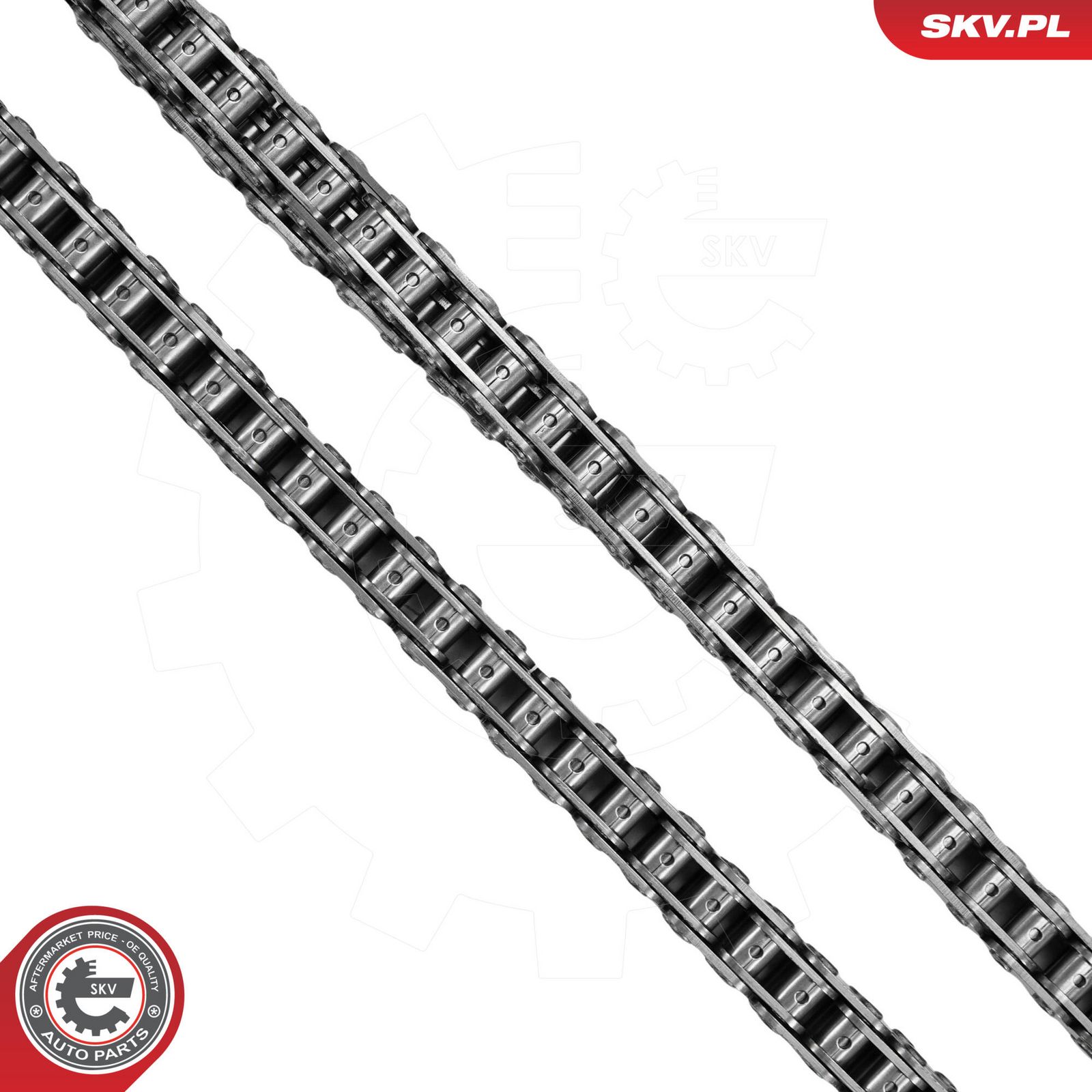 Timing Chain Kit-5