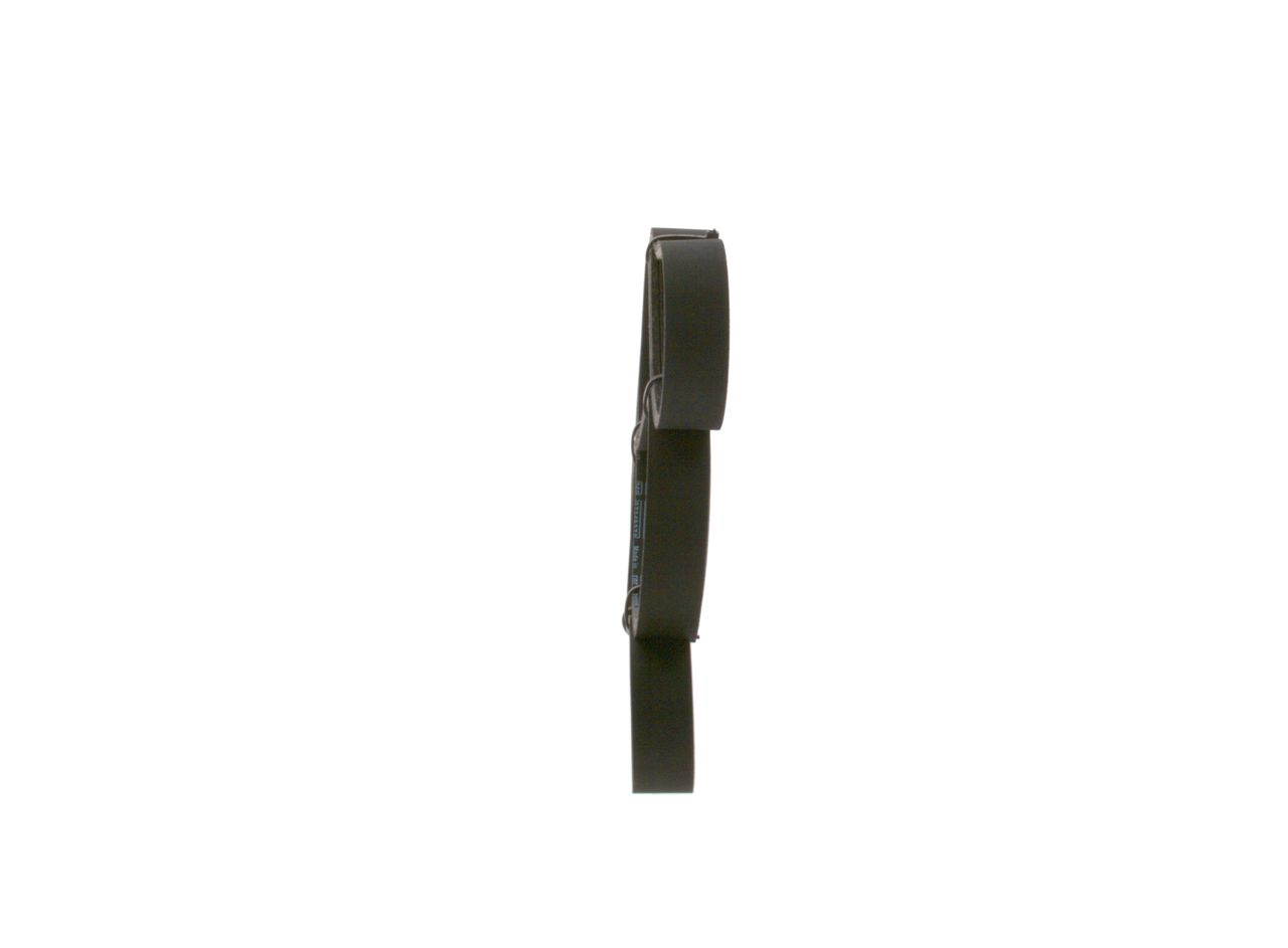 V-ribbed Belt-1
