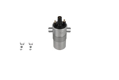 BORGWARNER (BERU) ZS564 Ignition coil