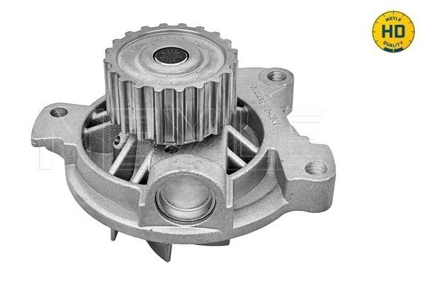Water Pump, engine cooling-1