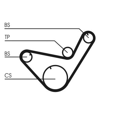Timing Belt-1