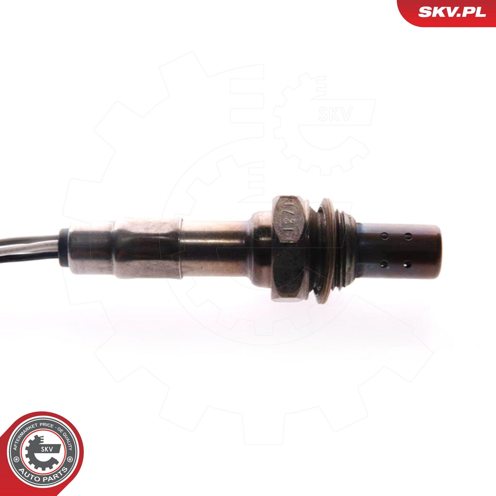 Oxygen Sensor-2