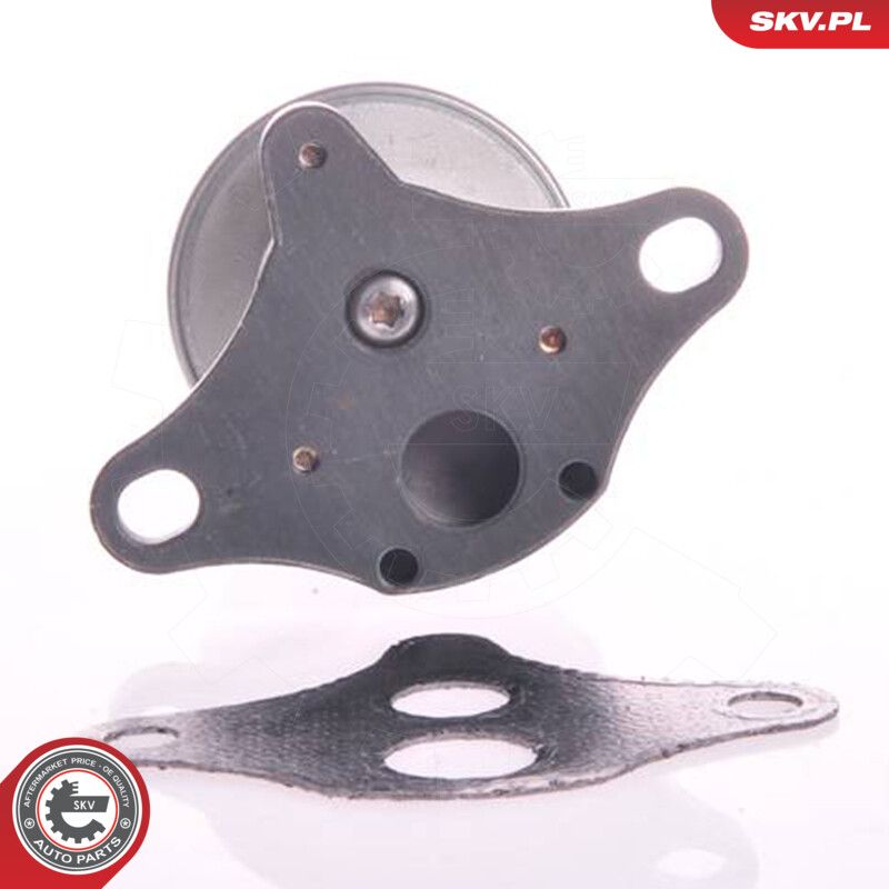 EGR Valve-1