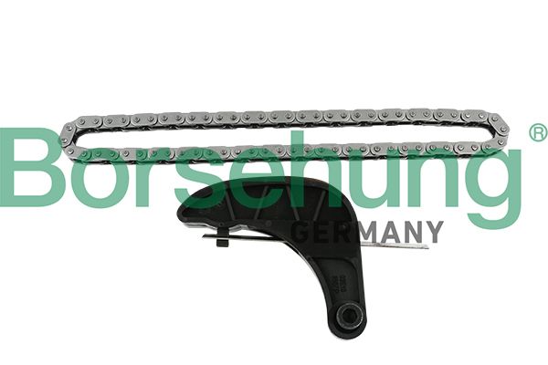 BORSEHUNG B18850 Chain kit, oil pump drive