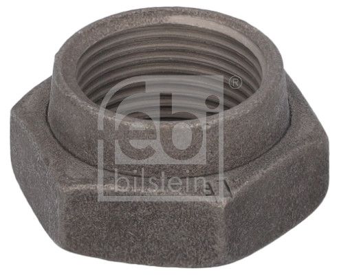 FEBI BILSTEIN 19159 Nut, kingpin