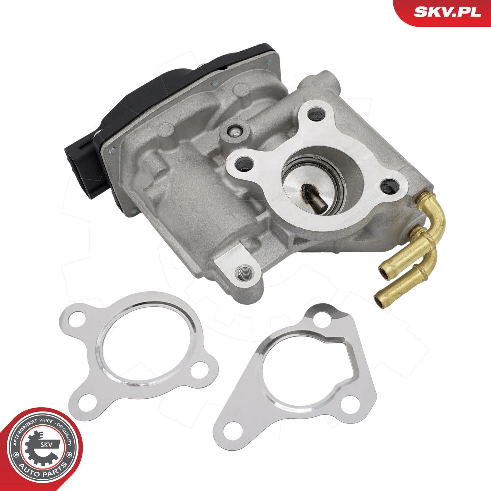 EGR Valve-1