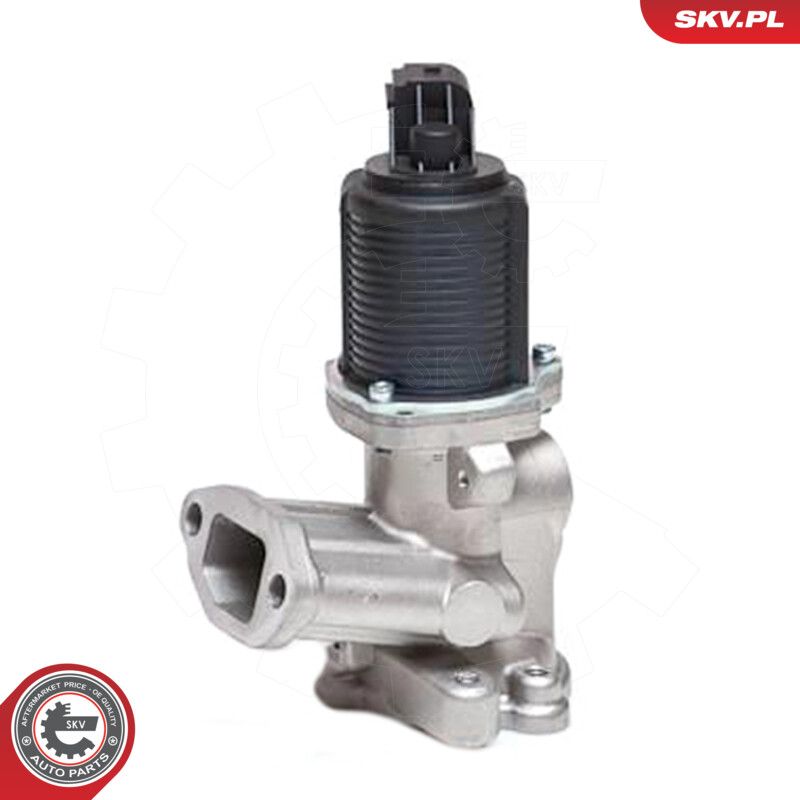 ESEN SKV 14SKV040 Egr valve
