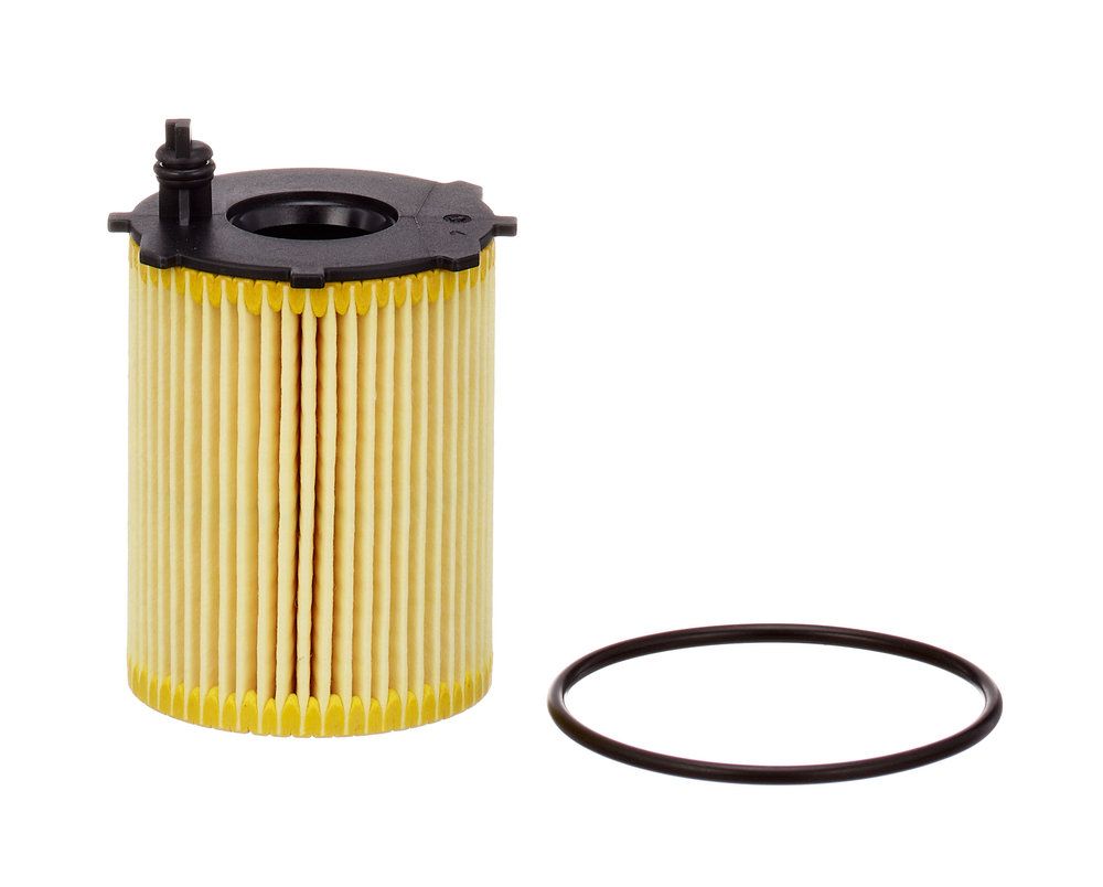Oil Filter-4