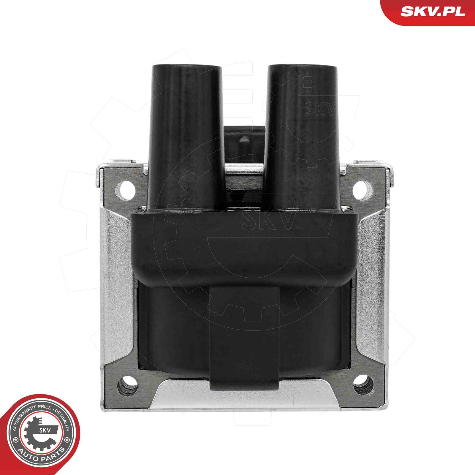 Ignition Coil-2