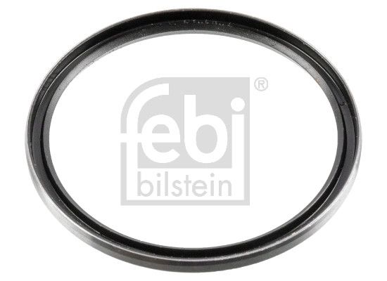 Seal Ring, steering knuckle-1