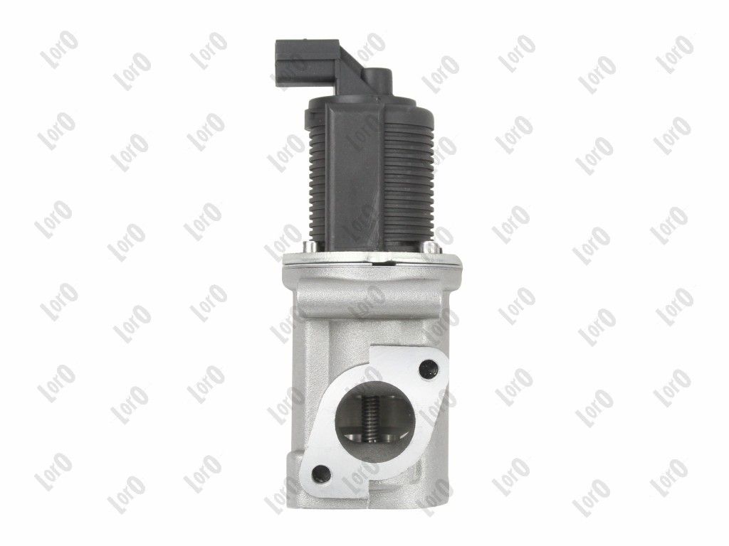 EGR Valve-4