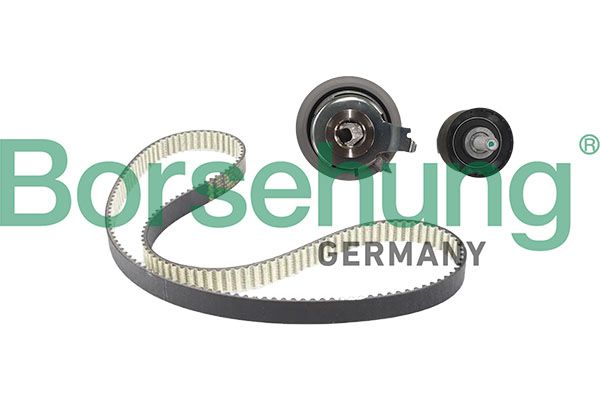 BORSEHUNG B13250 Timing belt kit