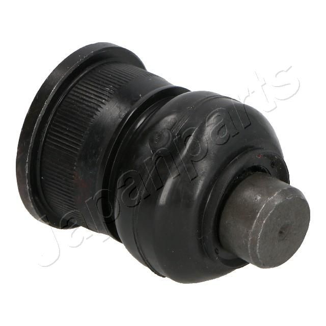 Šarnyras / girgždukas-2