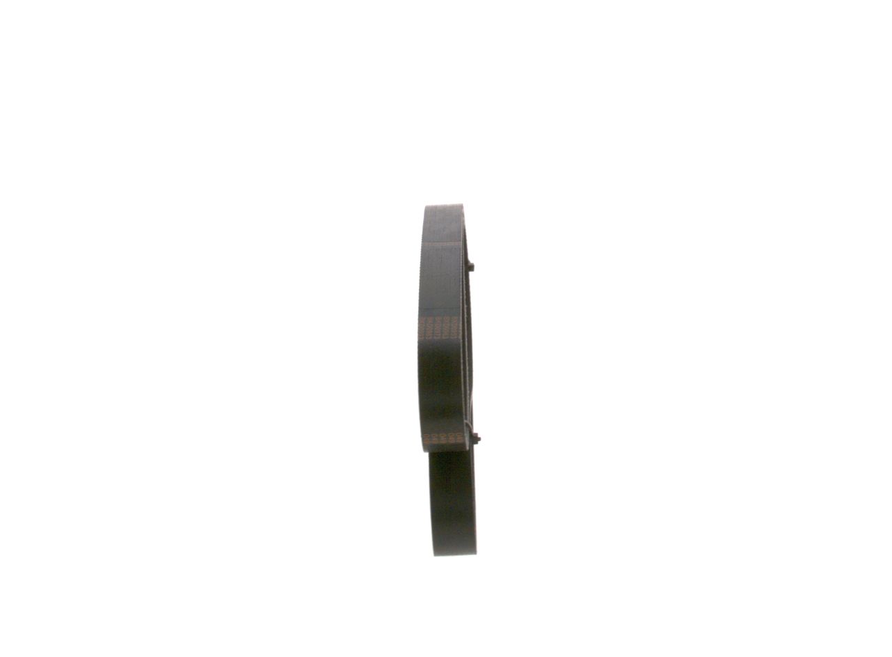 V-ribbed Belt-1