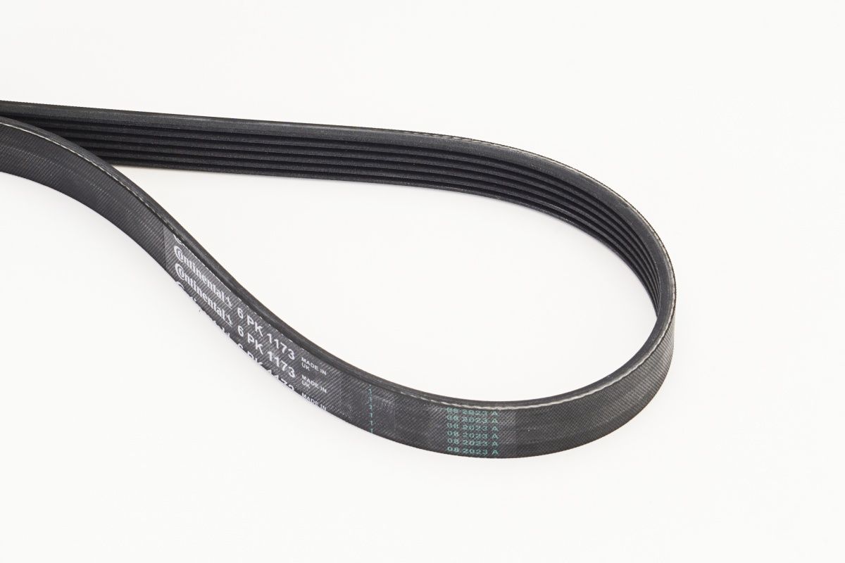 CONTINENTAL CTAM 6PK1173 V-ribbed belt