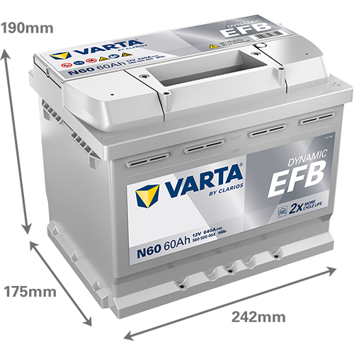 Starter Battery-1