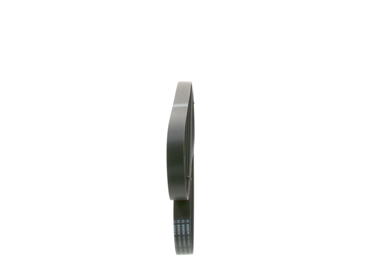V-ribbed Belt-1