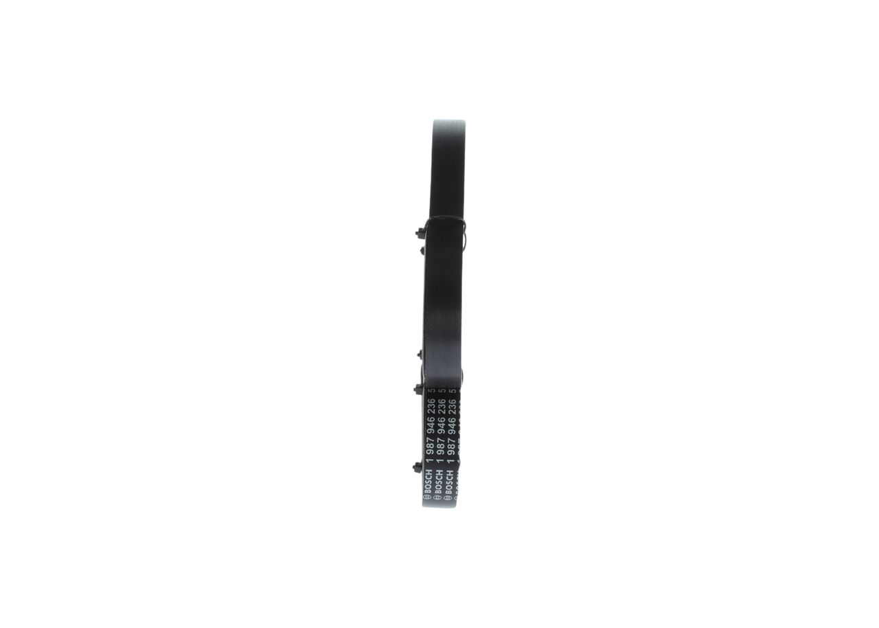 V-ribbed Belt-1