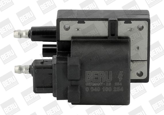 BORGWARNER (BERU) ZS254 Ignition coil