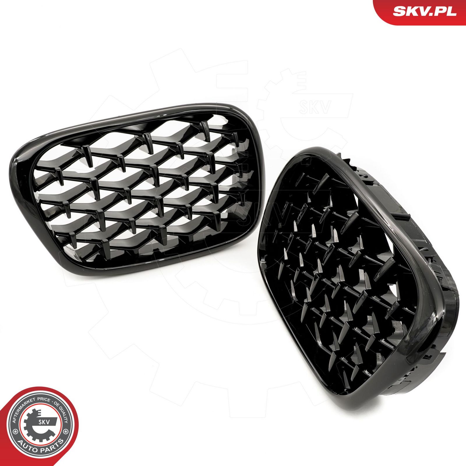 Radiator Grille-3