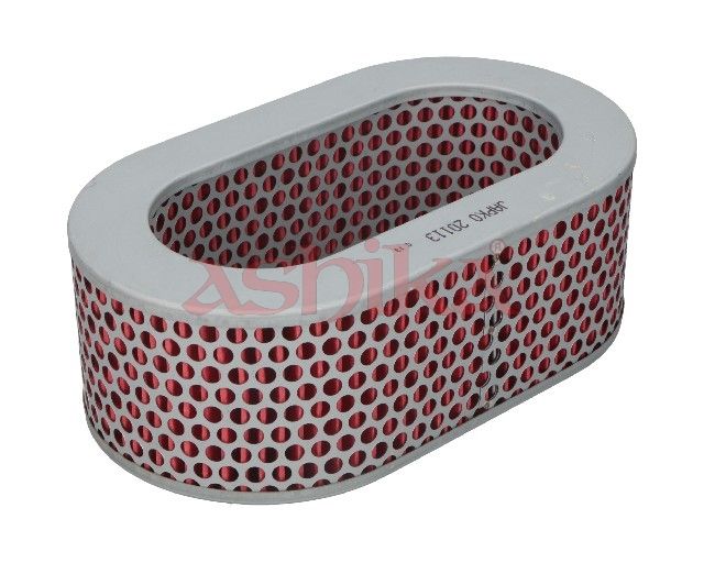 ASHIKA 20-01-113 Air filter