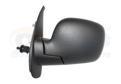 VAN WEZEL 4312803 Exterior mirror