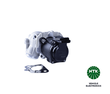 EGR Valve-1