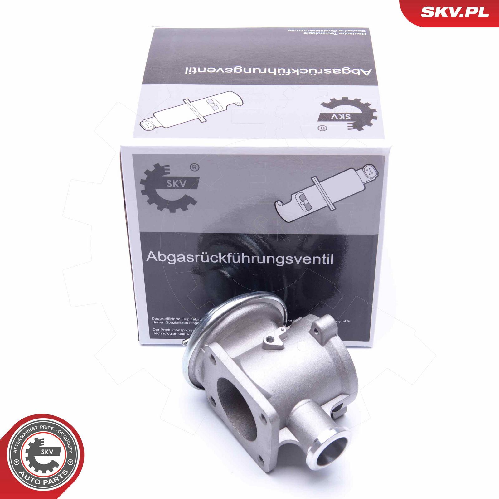 EGR Valve-2