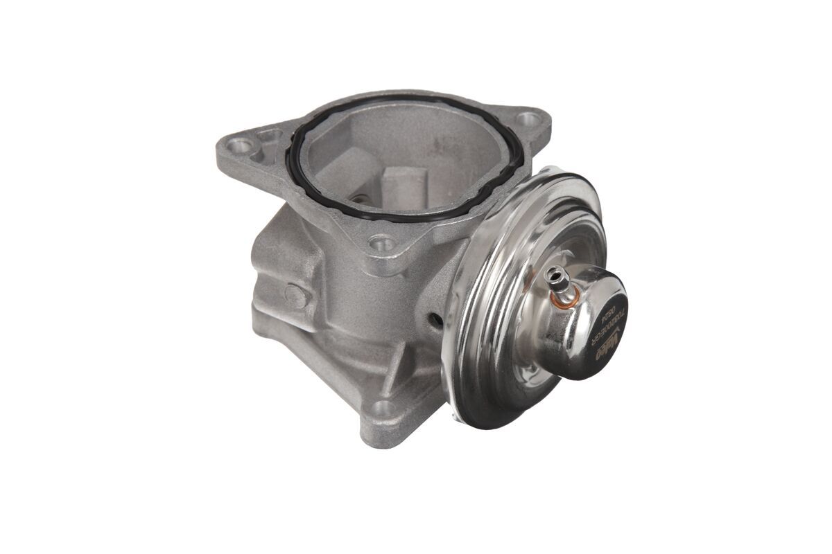 EGR Valve-2