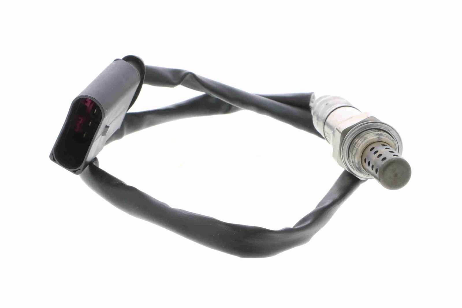 Oxygen Sensor-2