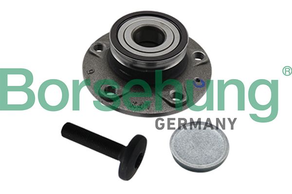 BORSEHUNG B19310 Wheel bearing kit