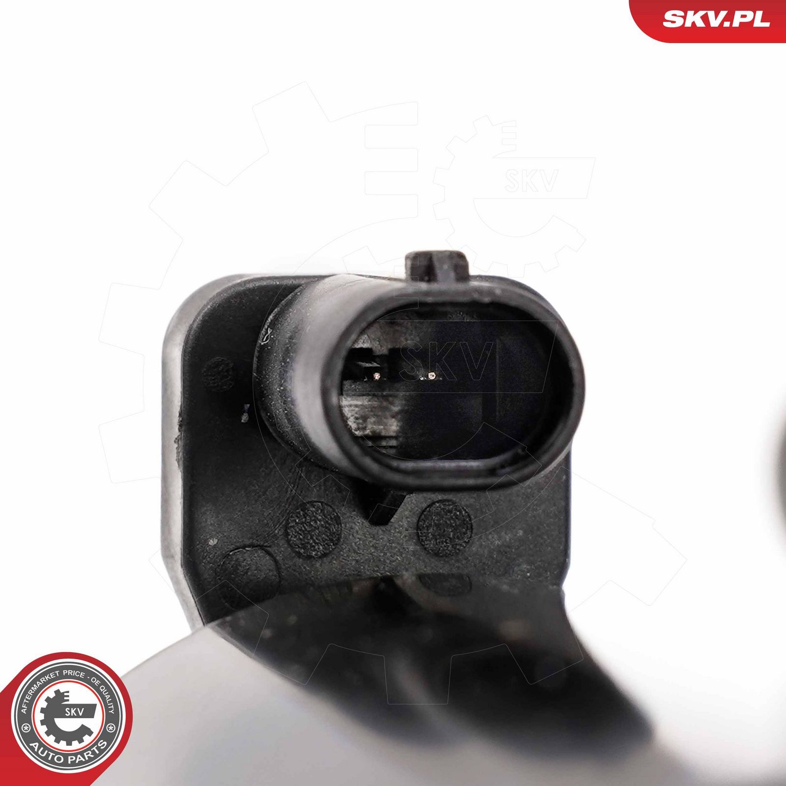 Air Suspension Strut-4