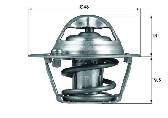 Thermostat, coolant