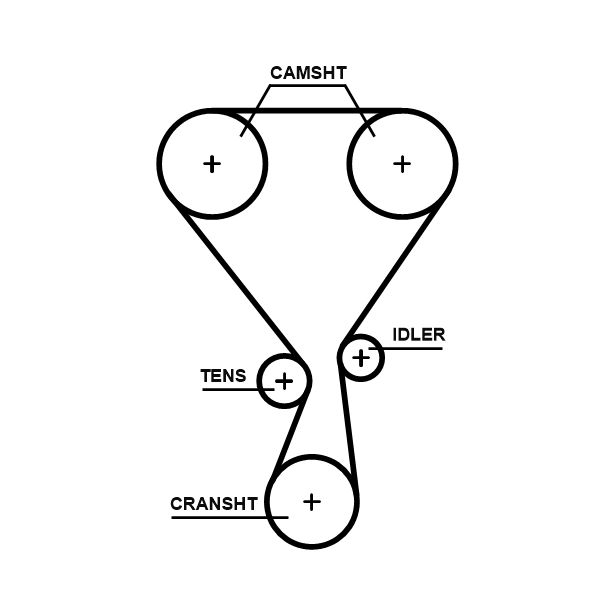 Timing Belt-1