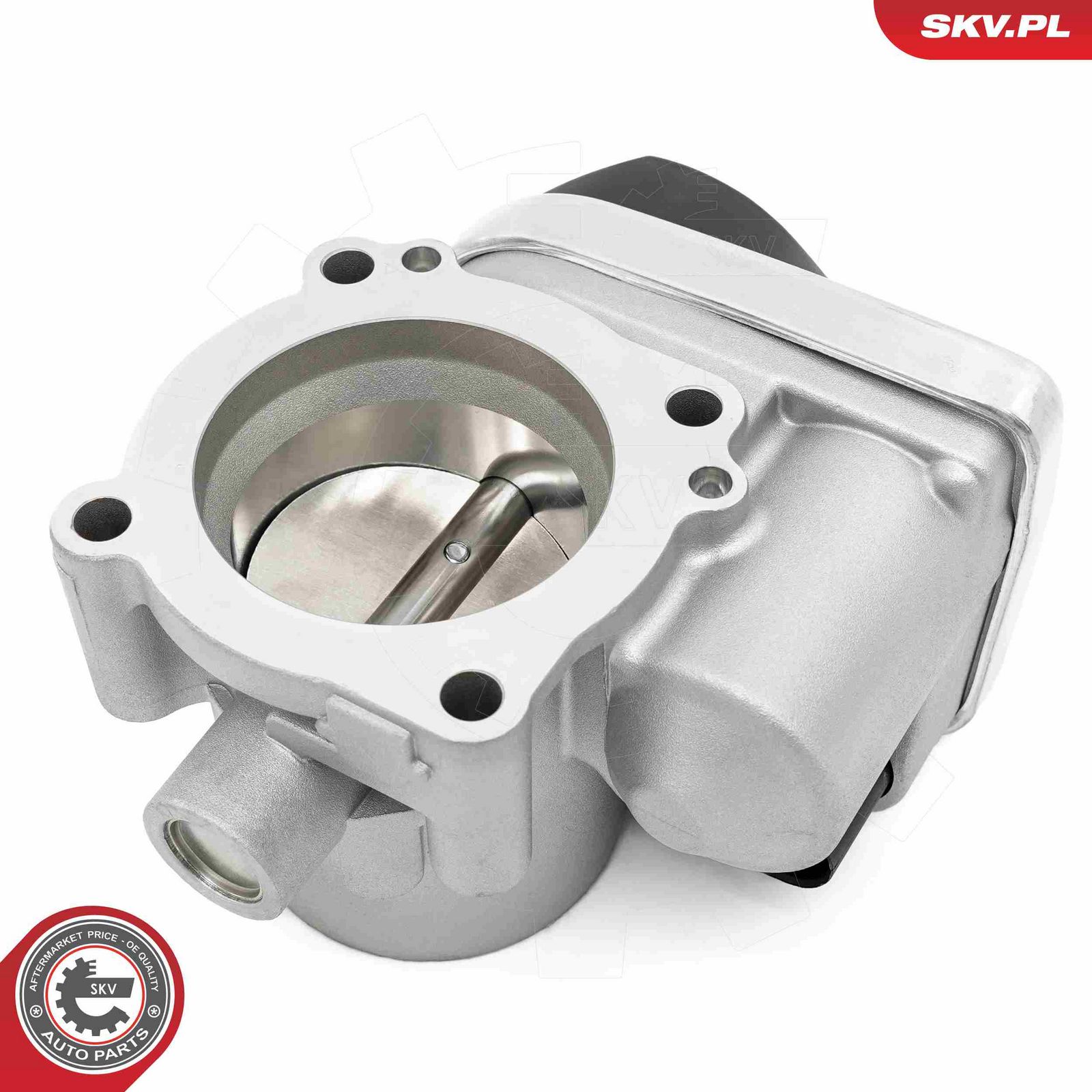 Throttle Body-1