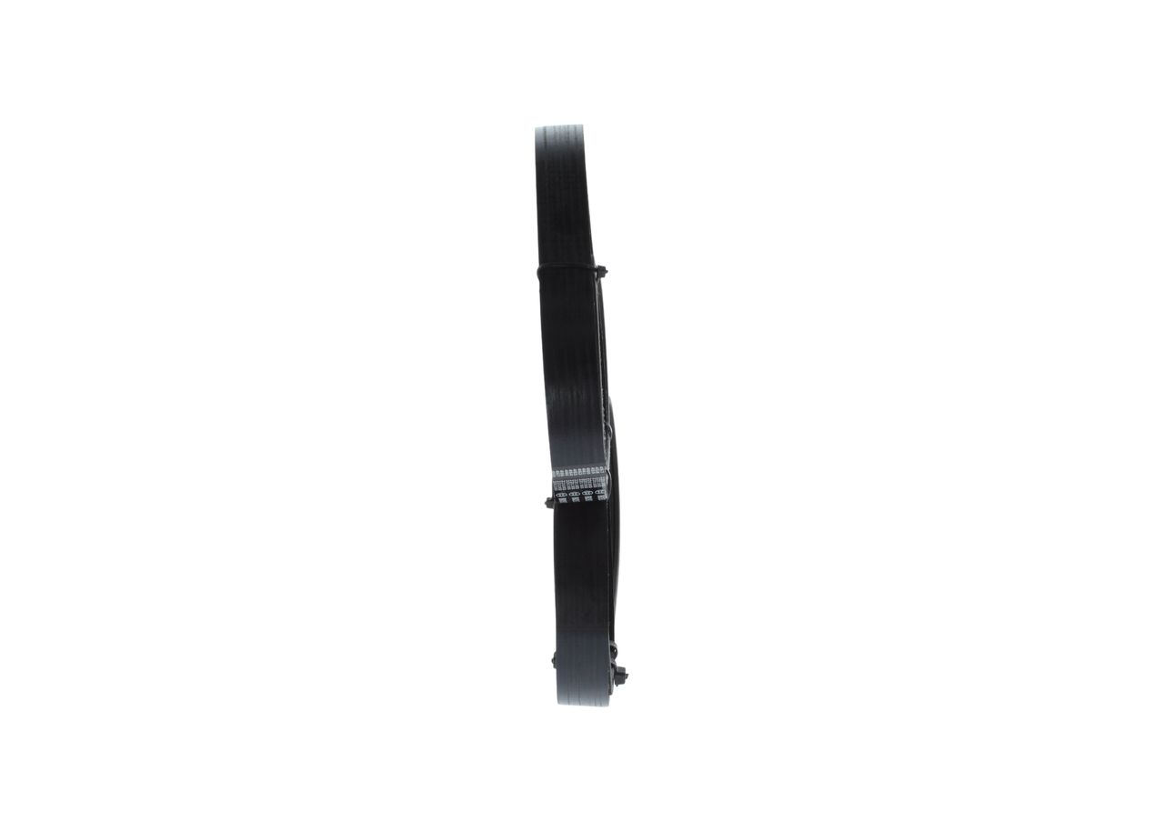 V-ribbed Belt-1