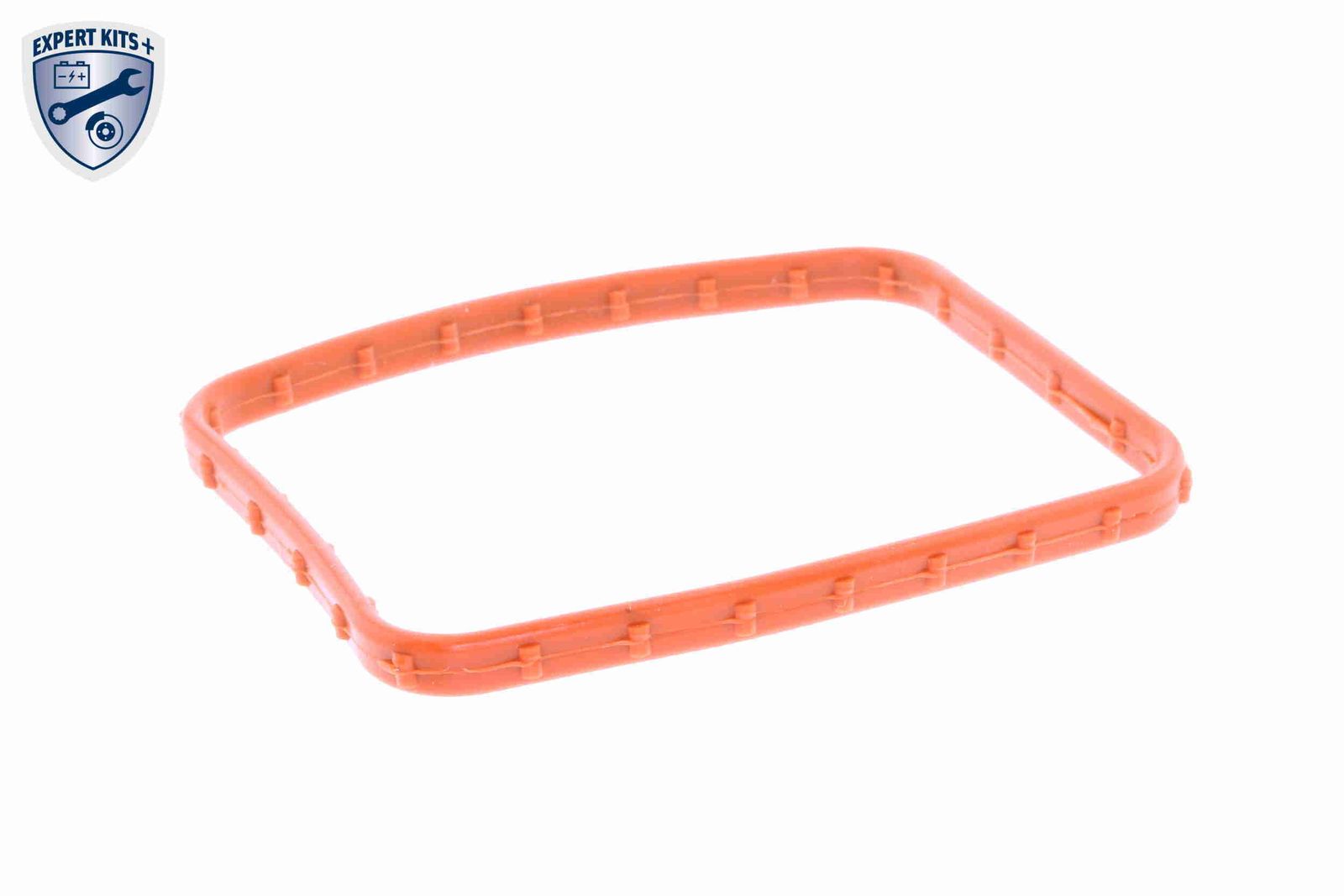 termostatas, aušinimo skystis-2