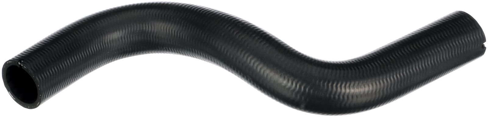 Radiator Hose-main