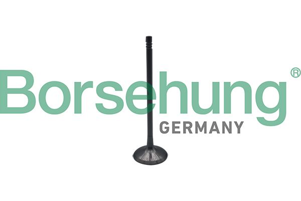 BORSEHUNG B10323 Intake valve