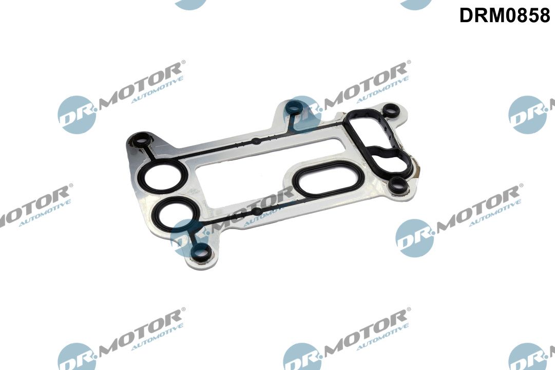 DR.MOTOR AUTOMOTIVE DRM0858 Gasket, oil cooler