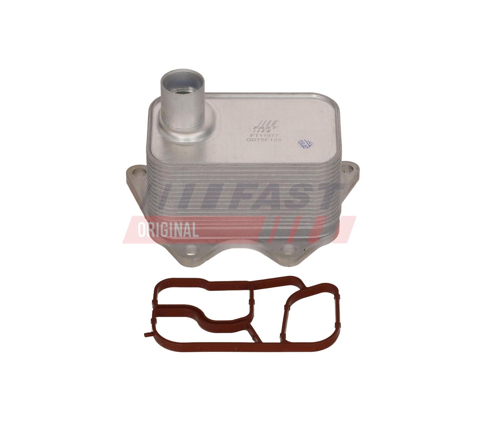 Oil Cooler, engine oil-2