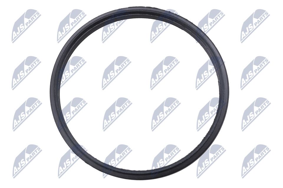Seal, timing chain tensioner-1