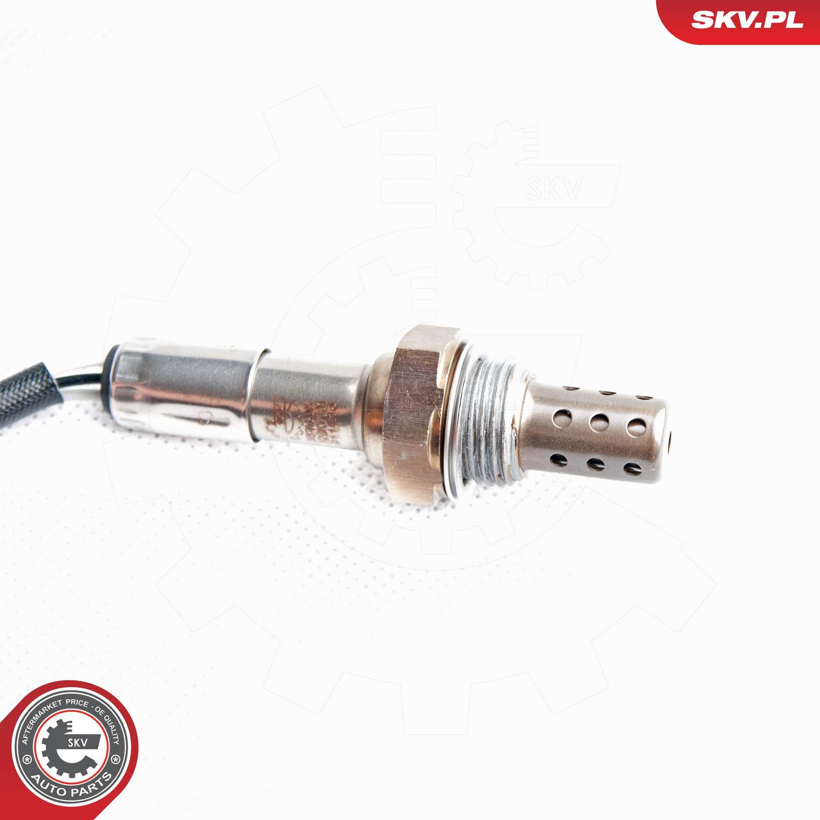 Oxygen Sensor-1